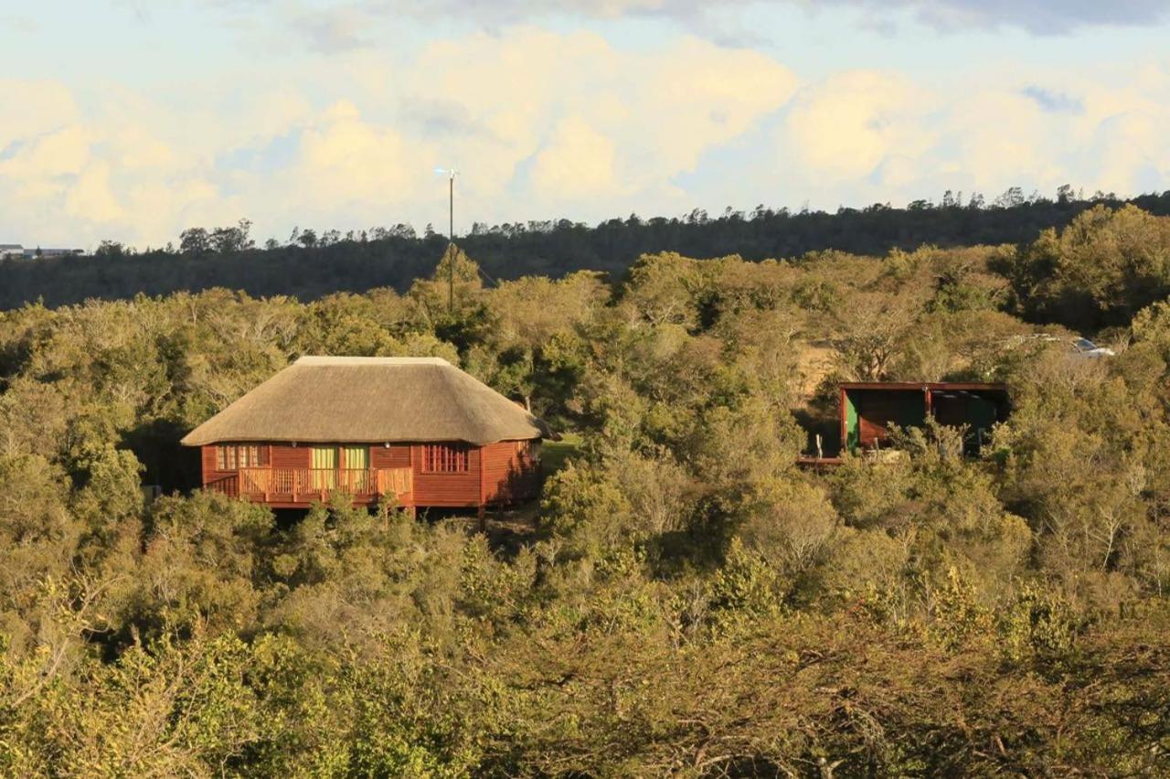 Horseshoe Game Reserve East London Eksteriør billede